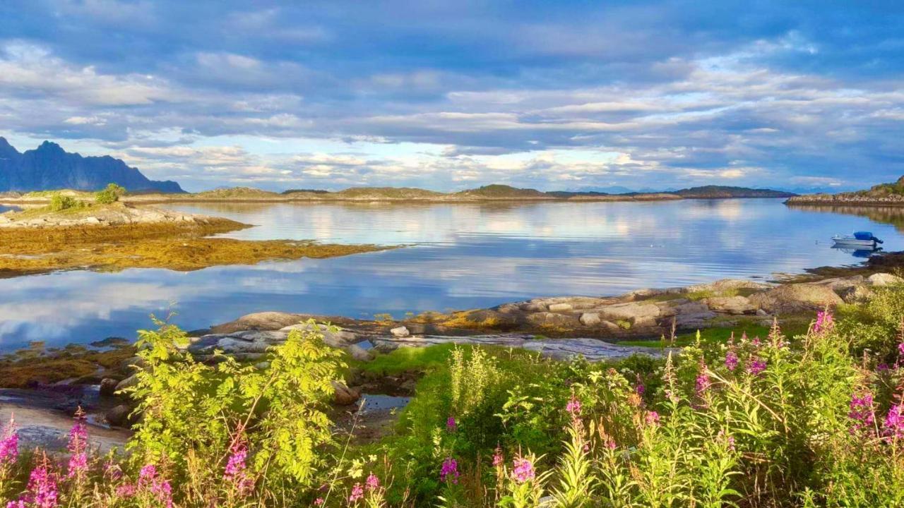 Fishermans Paradise Lofoten 레크네스 외부 사진